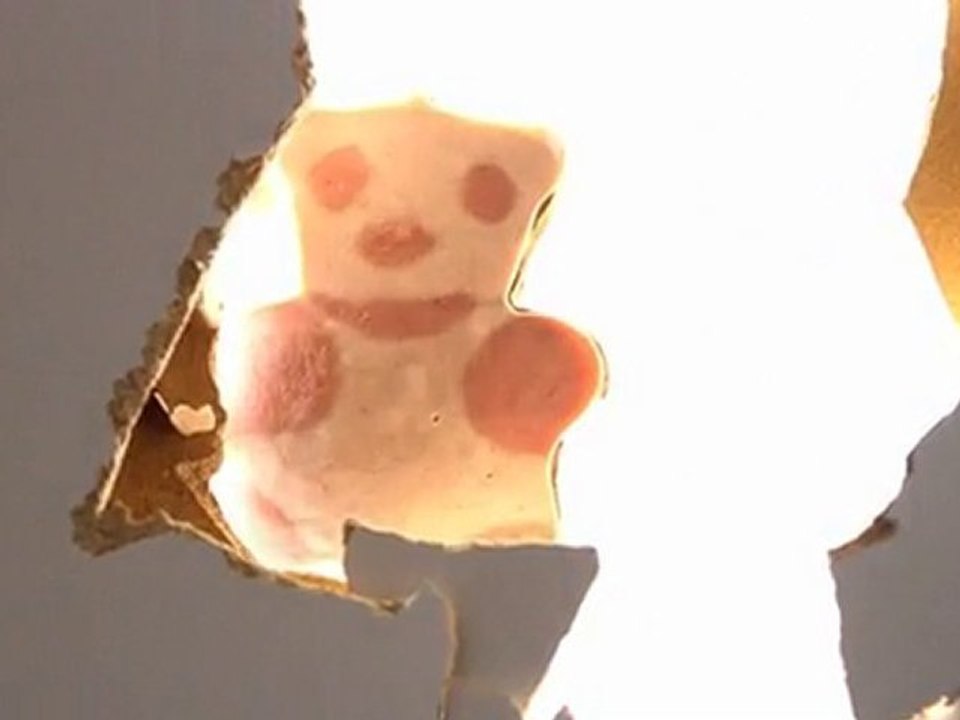 Bärchenwurst durch die Tür von Reinert