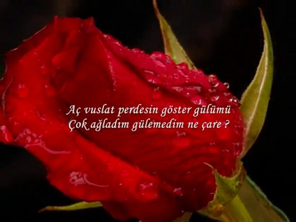 Ne Çare