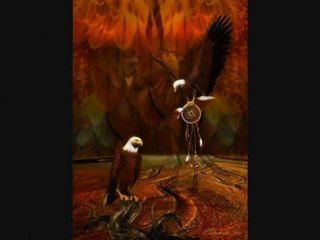 Animaux Totems Amérindiens