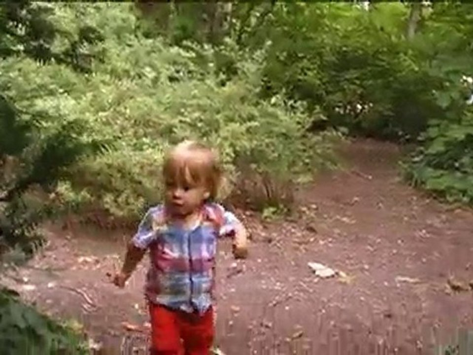 cache-cache