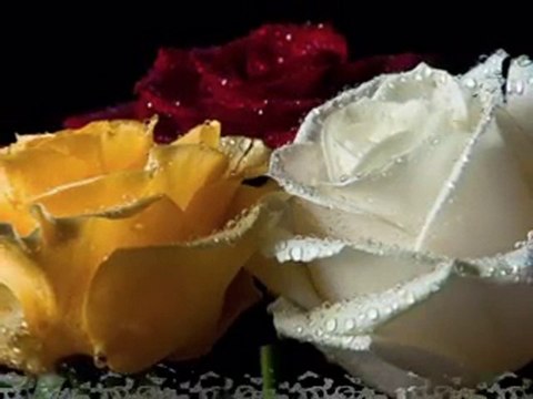 MELİHAT GÜLSES - GÜNAYDINIM NARÇİÇEĞİM SEVDİĞİM