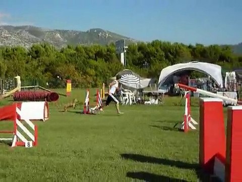 Alf - Jumping Aubagne