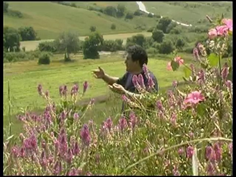 Ait Ferhat - Expulsé