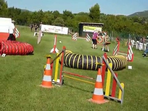 Vince - 2e degre Aubagne