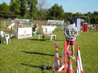 Aster - Open aubagne