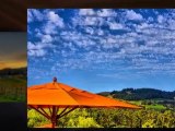 Napa Wine Tour Limo | Sonoma Wine Tasting Tour | Elite Limo