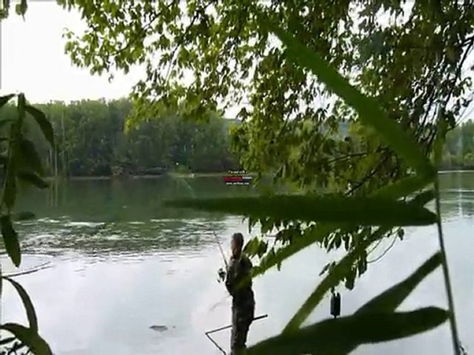 Carpe sur le Rhône : départ et combat en live