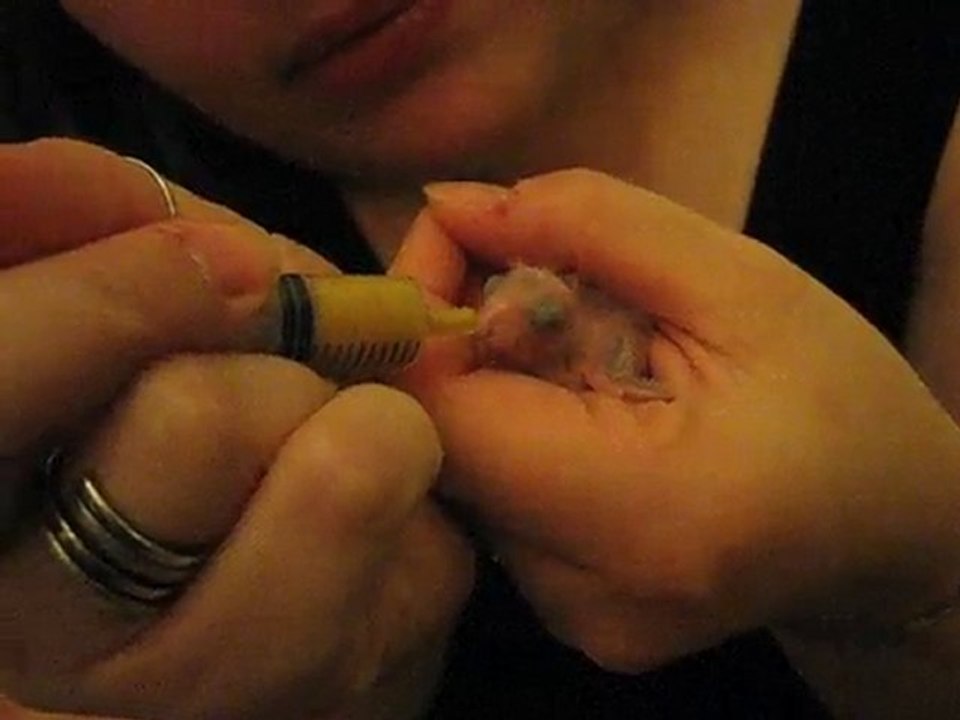 nourrissage d'un bébé catherine de 7 jours