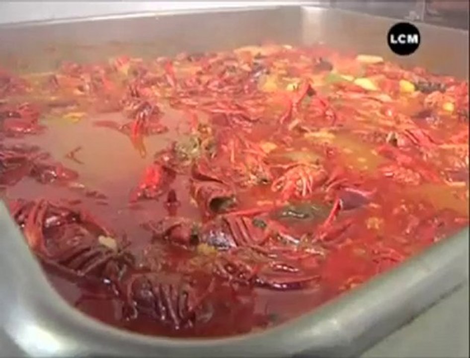 L'écrevisse de Louisiane menace la Camargue