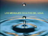 Masaru Emoto, Los mensajes ocultos del agua.