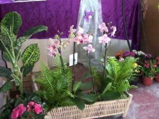 TASQUINHAS DAS CORTES 2010 EXPOSITORES