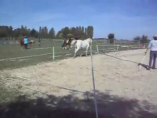 EQUITATION WESTERN AVEC CELINE AU SOL+MONTE. 19 09 2010. 1)