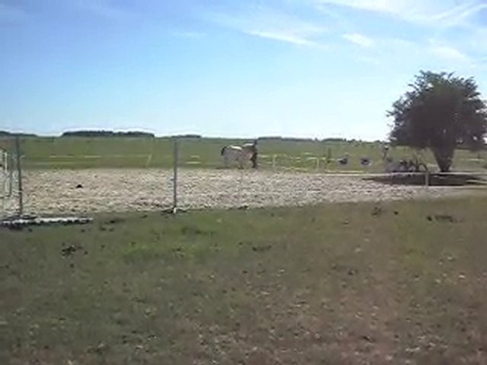 EQUITATION WESTERN AVEC CELINE AU SOL+MONTE. 19 09 2010. 2)