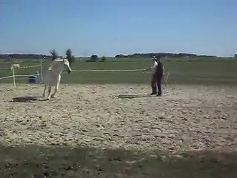 EQUITATION WESTERN AVEC CELINE AU SOL+MONTE. 19 09 2010. 2)