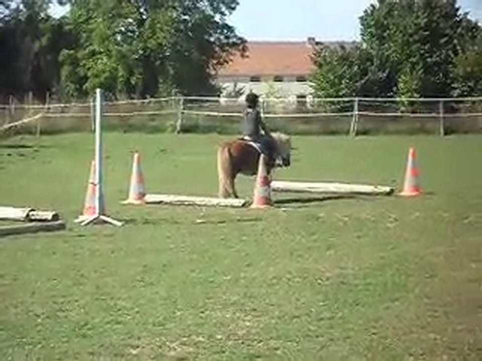 EQUITATION WESTERN AVEC CELINE AU SOL+MONTE. 19 09 2010. 3)