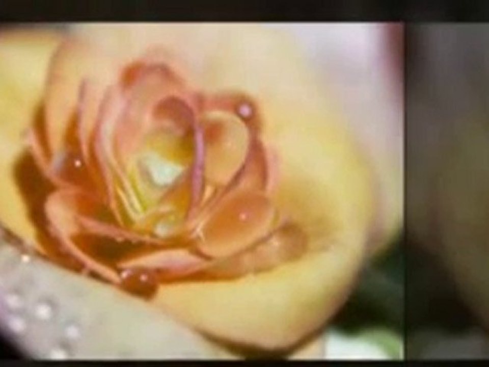 Finding Good Online Dating Agencies in Singapore