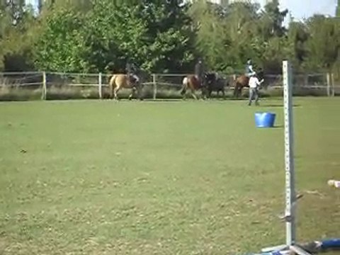 EQUITATION WESTERN AVEC CELINE AU SOL+MONTE. 19 09 2010. 6)