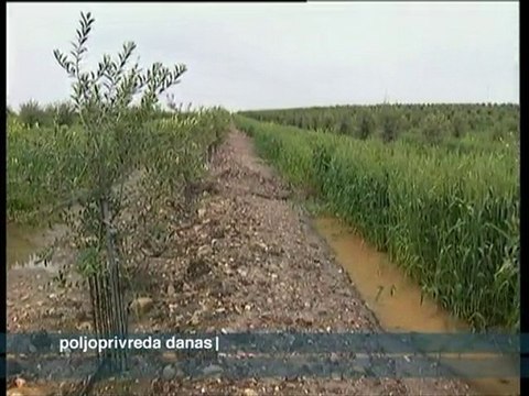 Poljoprivreda danas 21.09.2010.