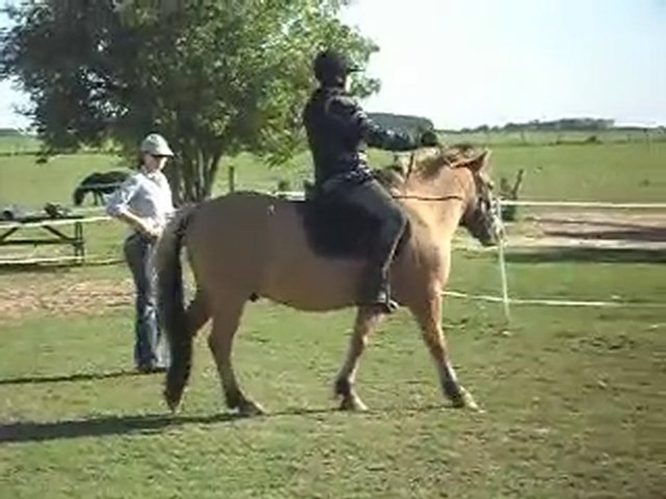 EQUITATION WESTERN AVEC CELINE, SUITE 2: JEUX MONTES