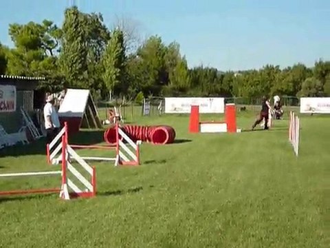 Vipper - Jumping Aubagne