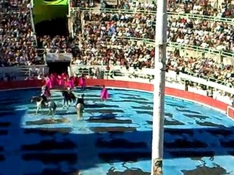 Paséo corrida goyesque Arles 2010