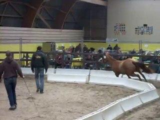 TANIA DES CHARMILLES