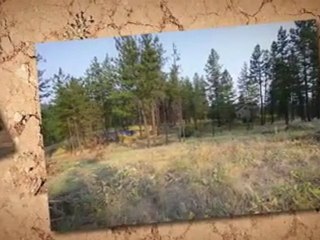 Spokane Real Estate,  9601 W Parkview Ln