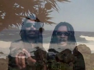 reunion island"clip video"lord stephane"le ker"shycko"