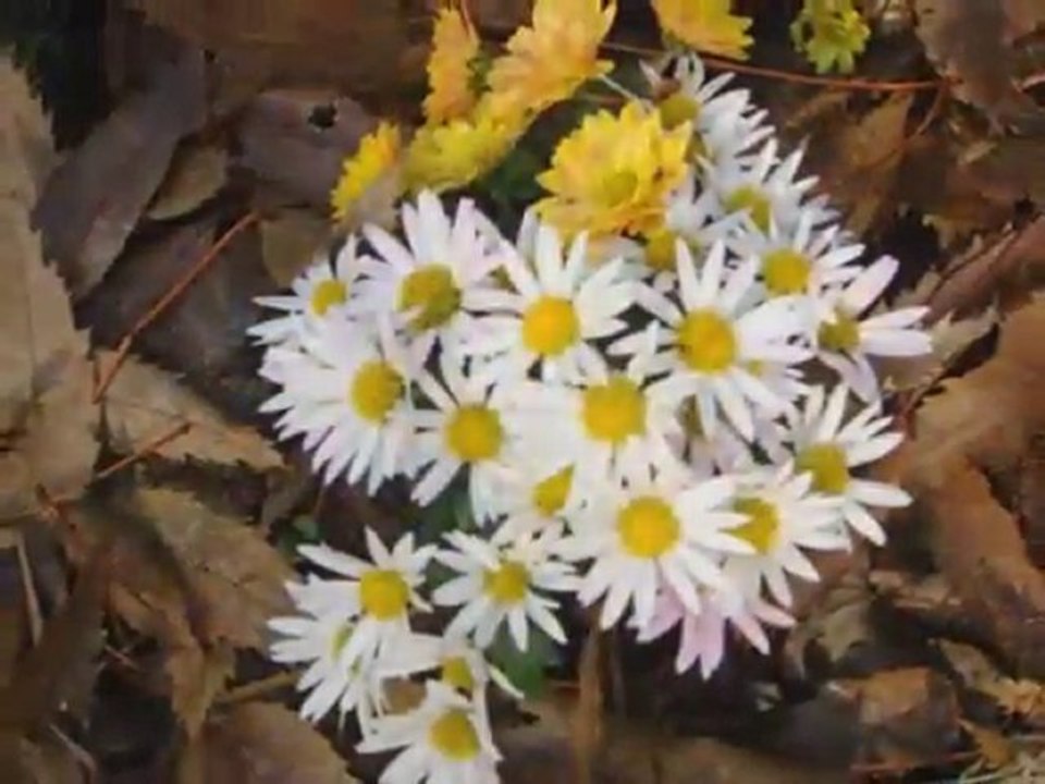 Kıraç – Ne olurdu benim olsan