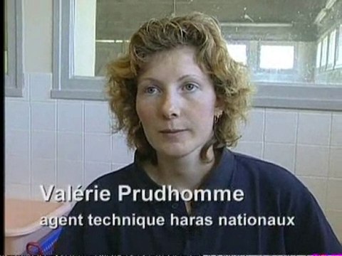 Véterinaire cheval - La cigogne des haras