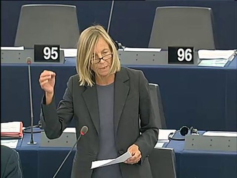 Marielle De Sarnez on EU-China summit on 6 October 2010