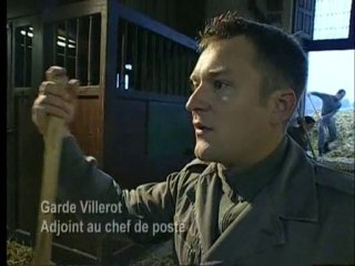 Véterinaire cheval - Les amazones de Chambord