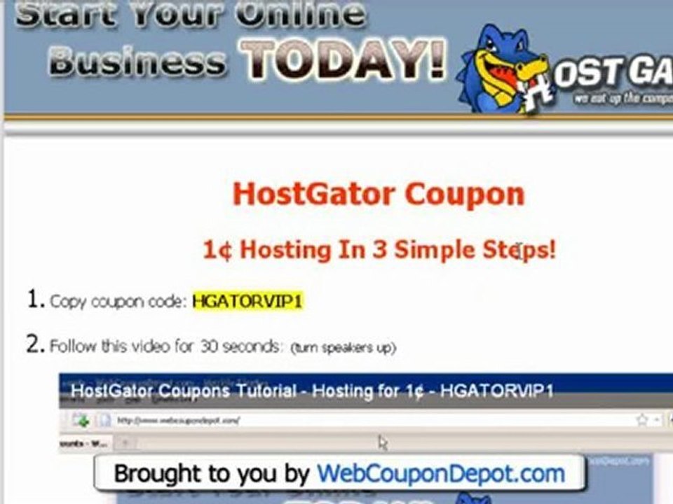 (Hostgator Coupon 2010) - Website Hosting - Code: HGATORVIP1