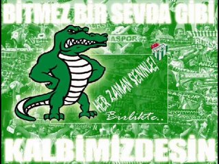 Bursaspor bu senede