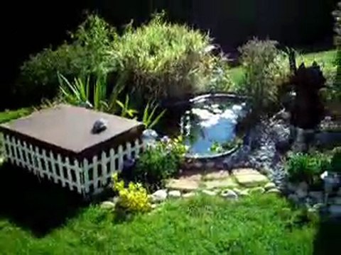 Bassin aquatique jardin