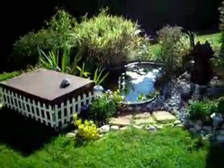 Bassin aquatique jardin