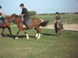 EQUITATION WESTERN AVEC CELINE: JEUX suite 10)
