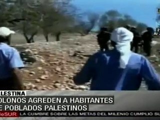 下载视频: Colonos judíos agreden a habitantes de poblados palestinos