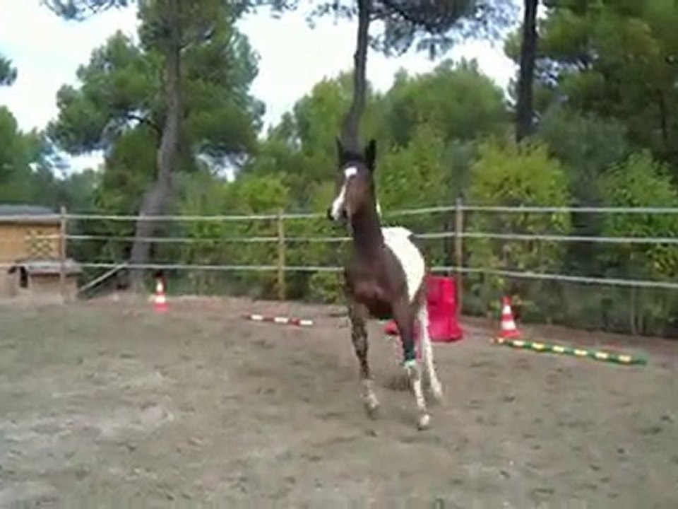 Velvet rond de longe 18 mois