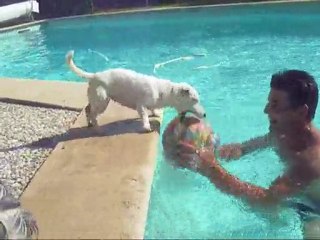 Balou à la piscine 2010