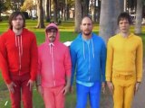 Dancing dogs in new OK Go video send web wild