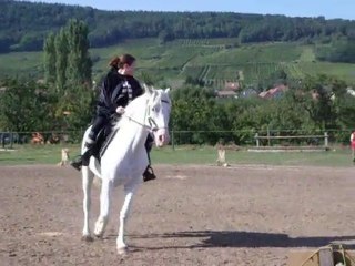 journée animation-spectacle wangen