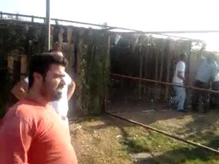 İskenderun guvercin festivali