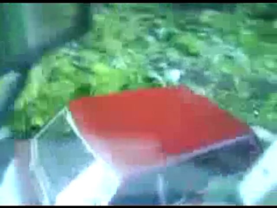 Voiture stationnée trop près de la voie