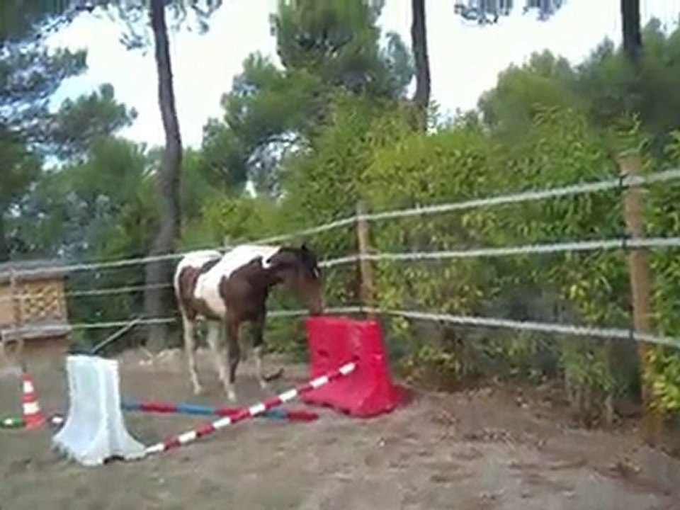 Velvet rond de longe suite (18 mois)