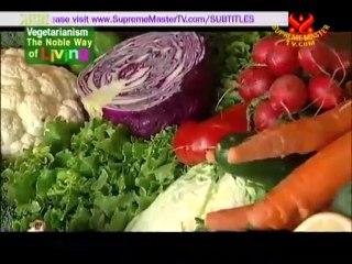 Living Light Culinary Arts Institute - P3/3