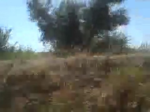 en train vers kenitra 01055