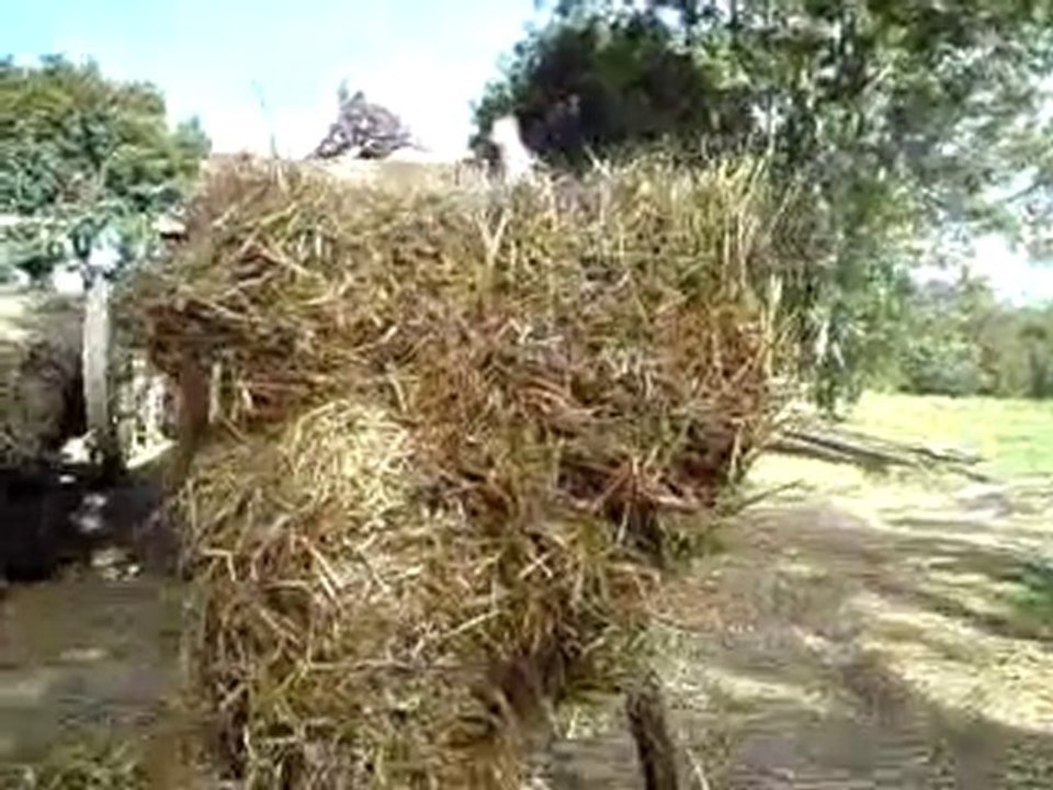 battage société francaise FV1,