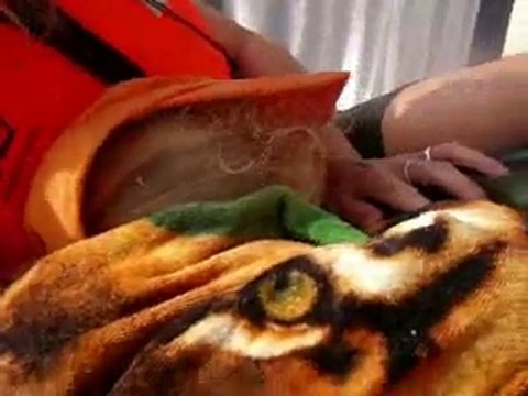 Virus+, ballade en Baie du Pouliguen (La Baule)