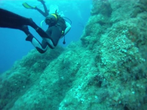 Fin plongée Port Cros